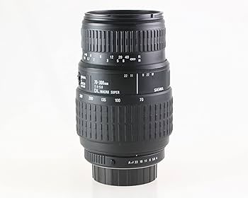 Amazon.co.jp: Sigma 70-300mm F4-5.6 DLマクロスーパーレンズ
